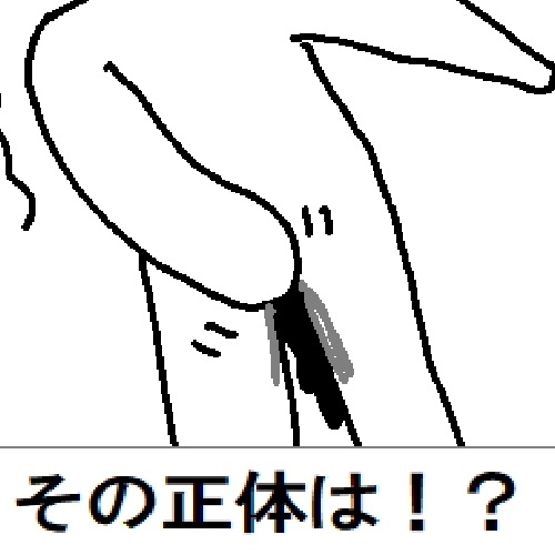 粘土人間のすべて