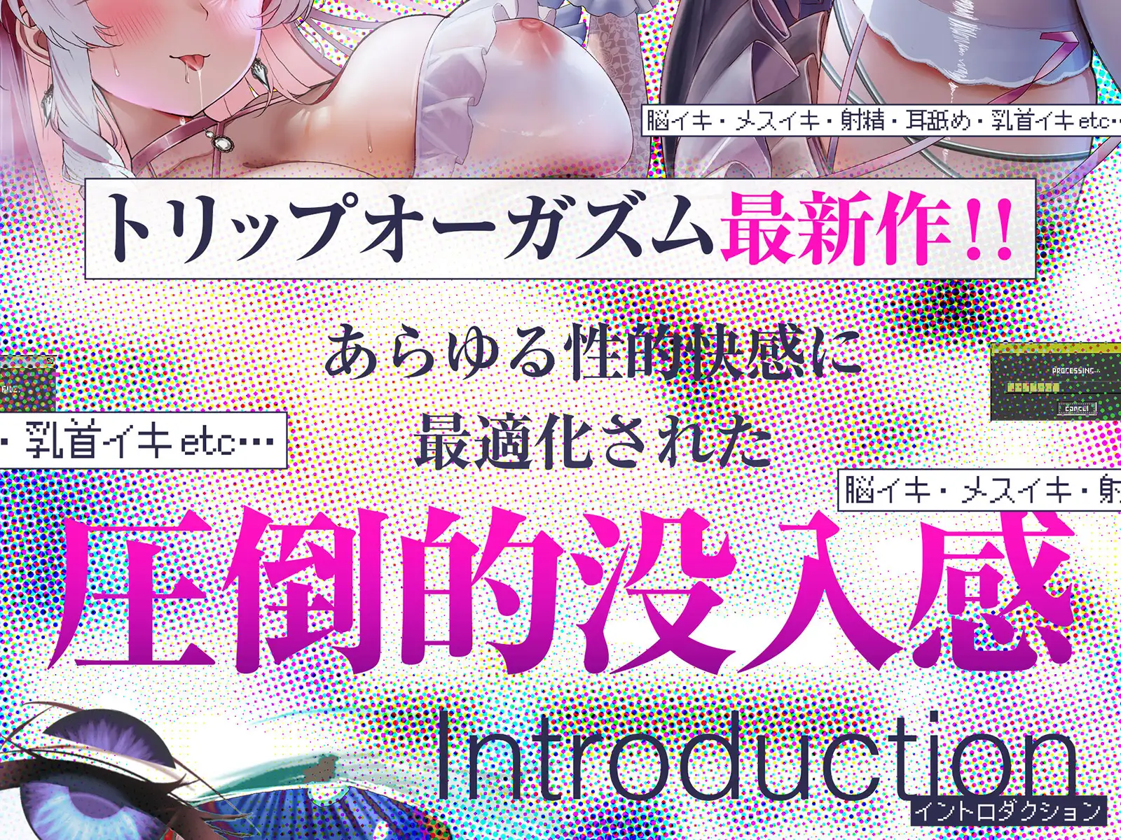__TTLPROT0__ サンプル画像1