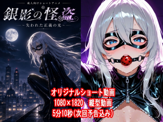 銀影の怪盗 ～失われた正義の光～