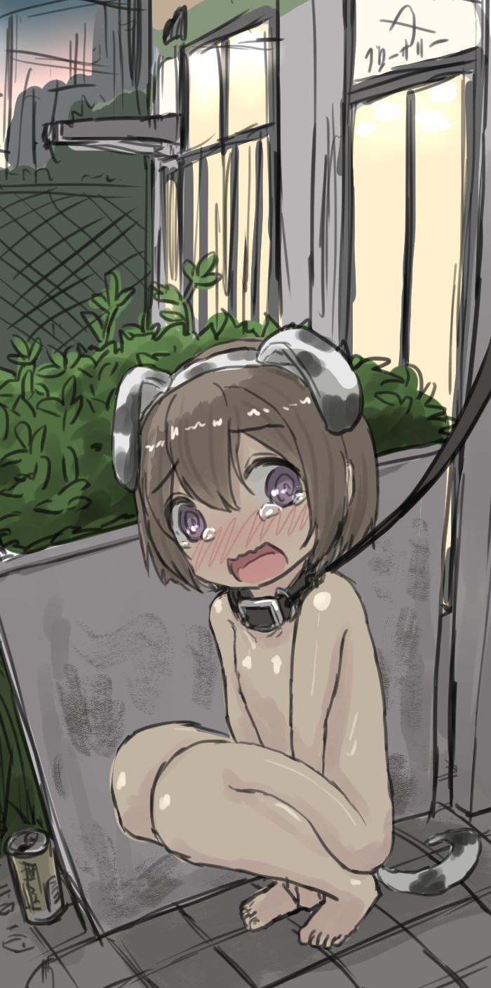犬ごっこつめあわせ