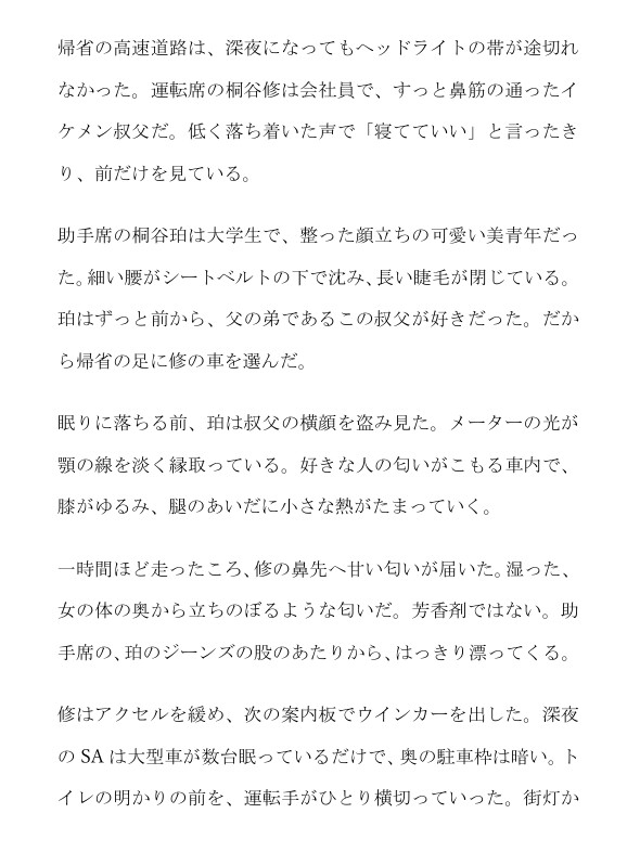 イケメン叔父とカントボーイ大学生～倒したシートで重なる帰省の夜～ サンプル2