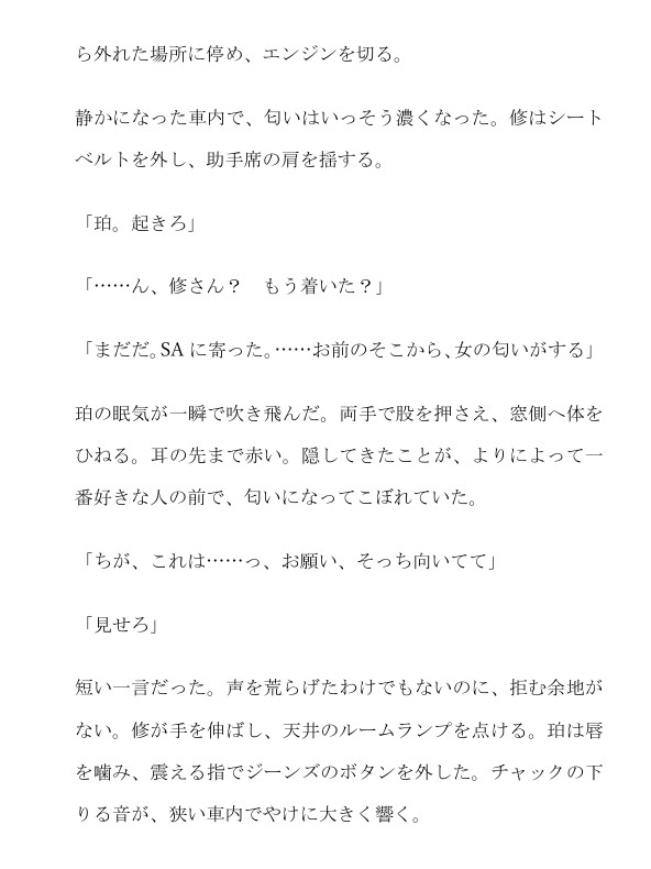 イケメン叔父とカントボーイ大学生～倒したシートで重なる帰省の夜～ サンプル3