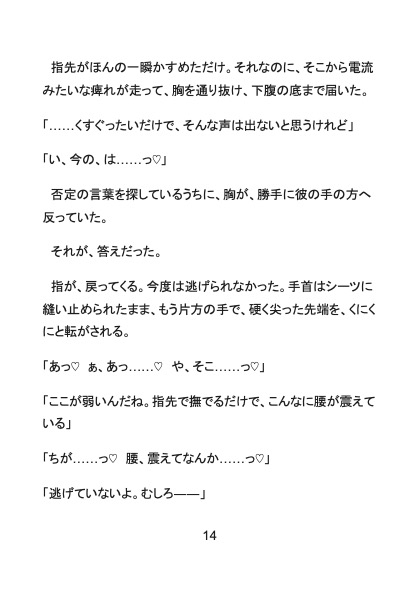 エルフの姫に異世界転生し、推しの王子様と政略結婚するはずが、寿命を延ばす禁術で絶倫発情化した彼に毎晩溺愛中出しされちゃうお話 サンプル7