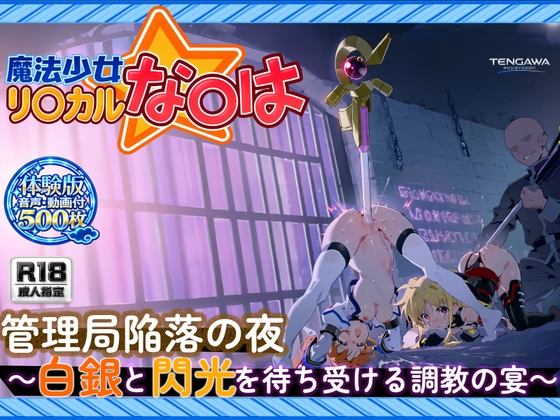 【魔法少女リリカルな○は】【高町な○は/フェ○ト500枚/3mp4】管理局陥落の夜～白銀と閃光を待ち受ける調教の宴～(セリフあり120枚以上)