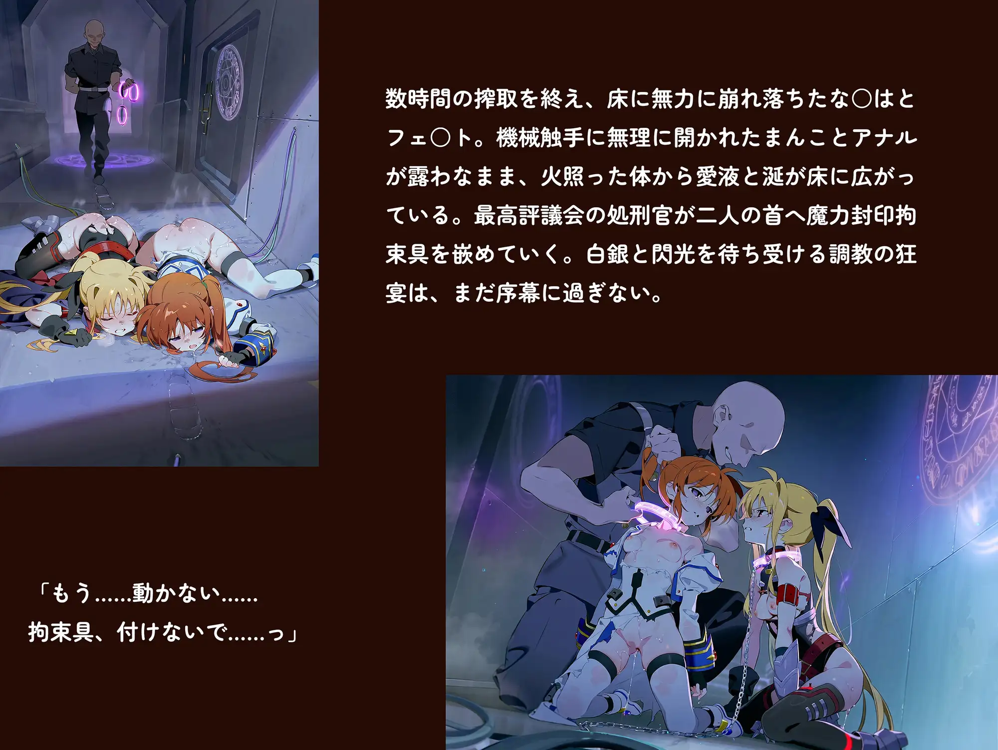 【魔法少女リリカルな○は】【高町な○は/フェ○ト500枚/3mp4】管理局陥落の夜~白銀と閃光を待ち受ける調教の宴~(セリフあり120枚以上) サンプル画像5