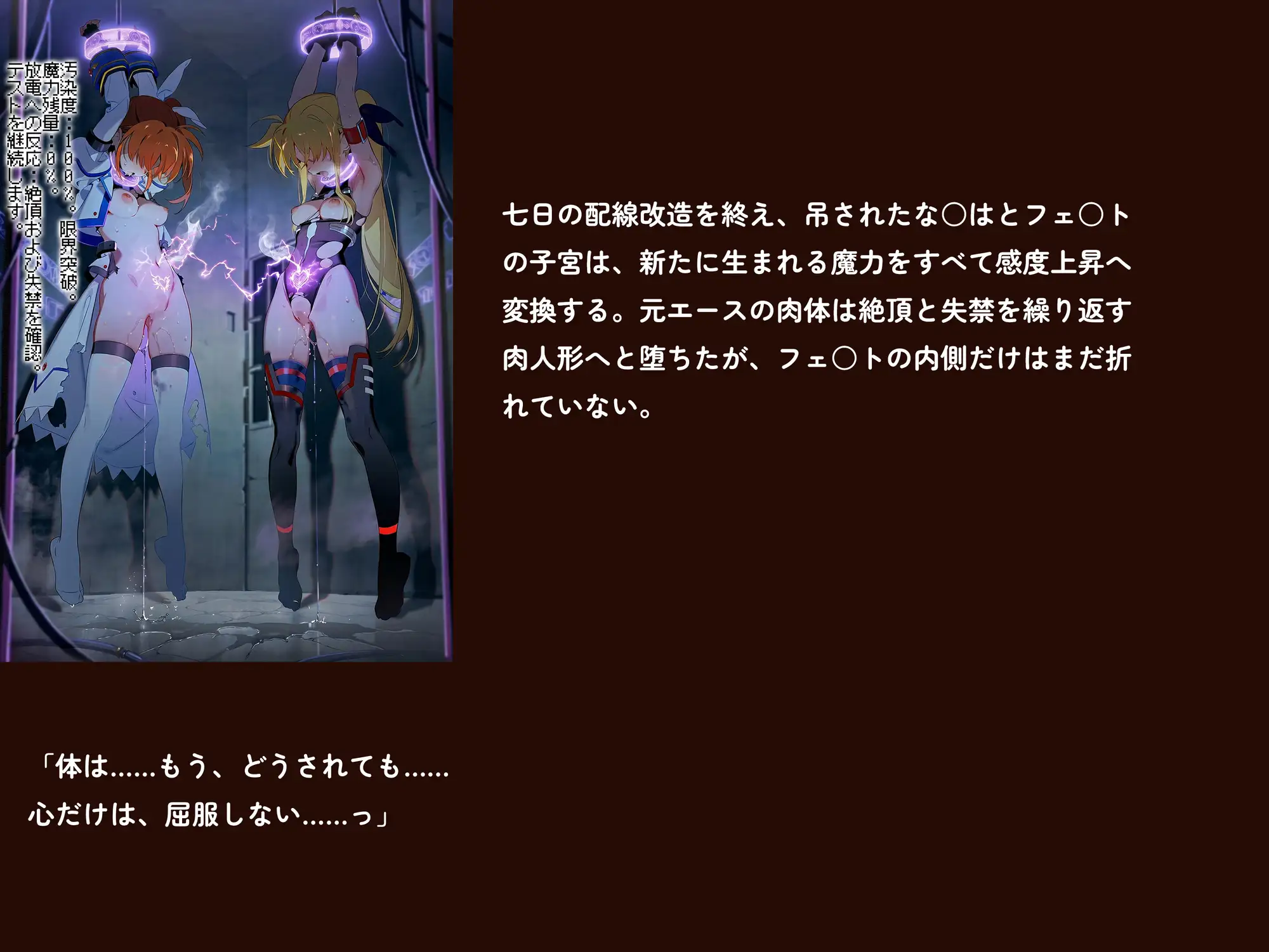 【魔法少女リリカルな○は】【高町な○は/フェ○ト500枚/3mp4】管理局陥落の夜~白銀と閃光を待ち受ける調教の宴~(セリフあり120枚以上) サンプル画像7