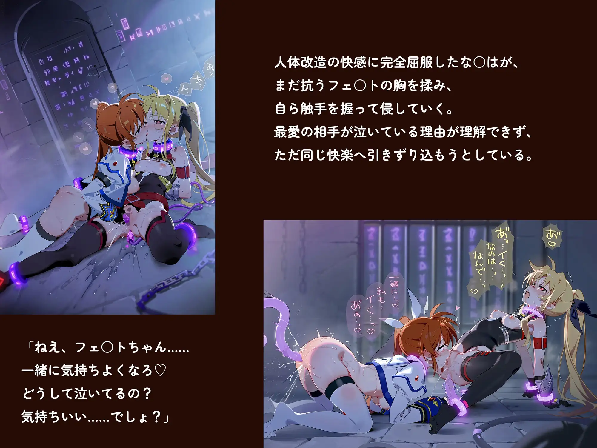 【魔法少女リリカルな○は】【高町な○は/フェ○ト500枚/3mp4】管理局陥落の夜~白銀と閃光を待ち受ける調教の宴~(セリフあり120枚以上) サンプル画像8