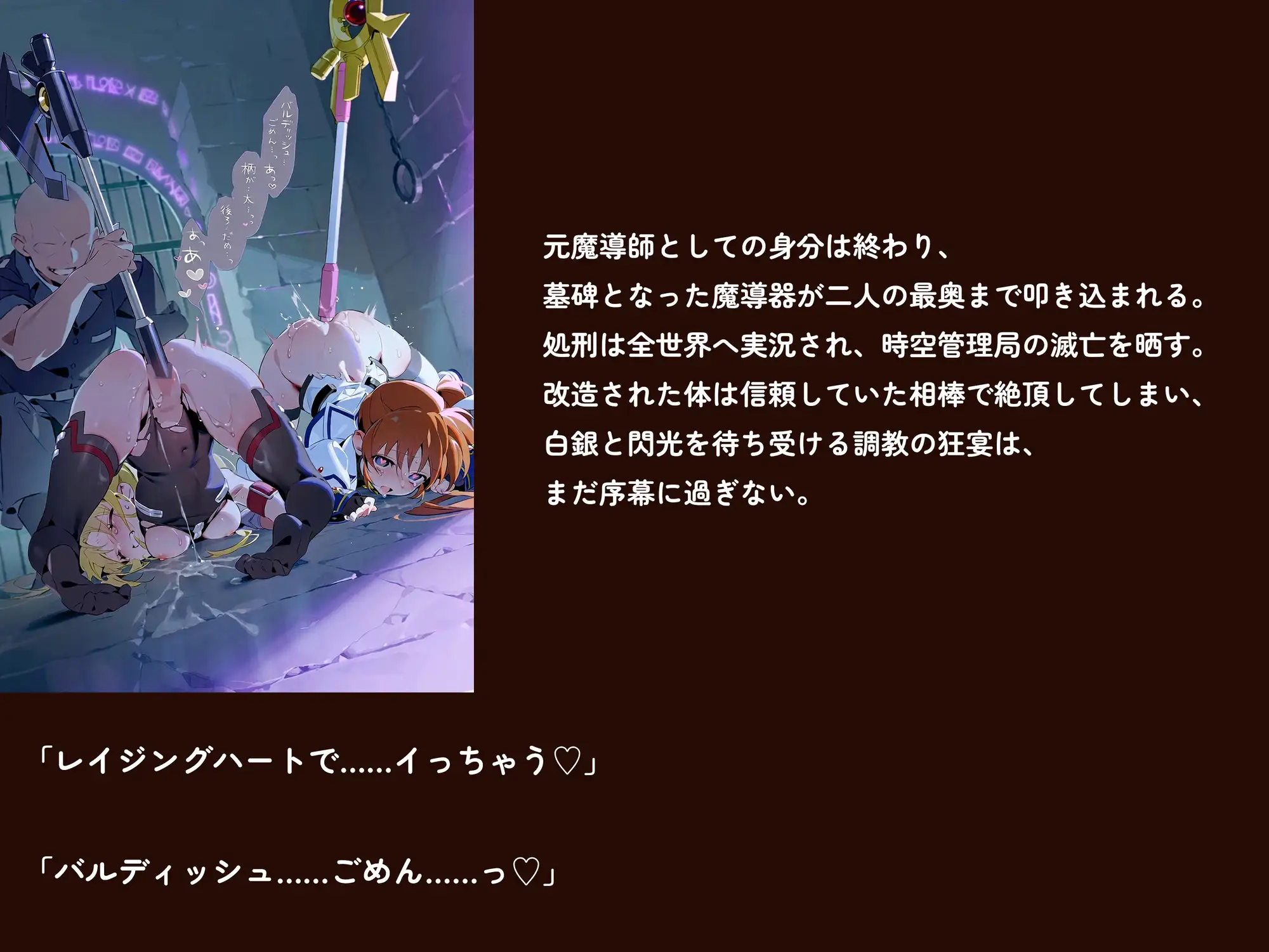 【魔法少女リリカルな○は】【高町な○は/フェ○ト500枚/3mp4】管理局陥落の夜~白銀と閃光を待ち受ける調教の宴~(セリフあり120枚以上) サンプル画像9