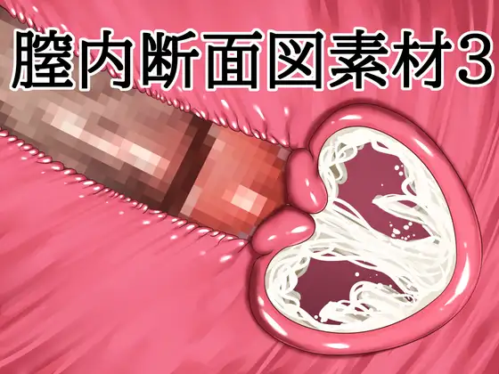 膣内断面図素材3 ジャケット画像