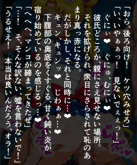 セーラー〇ーン輪〇無惨、男どもに〇されて孕まされるう〇ぎ サンプル画像 2