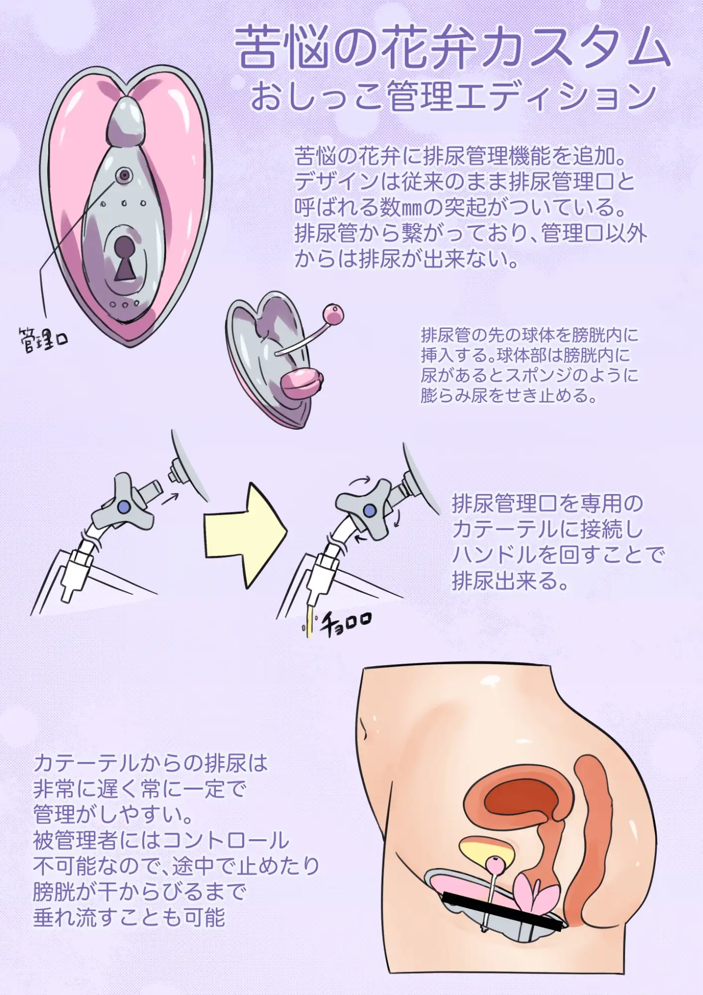 __TTLPROT0__ サンプル画像1