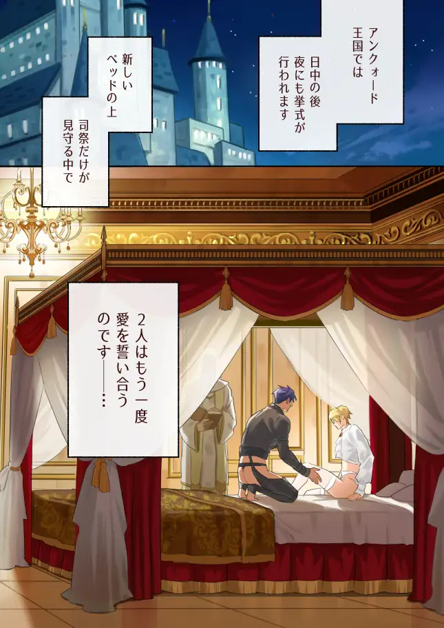 ツンデレ王子のハメ探し～夜の婚礼～ サンプル画像1