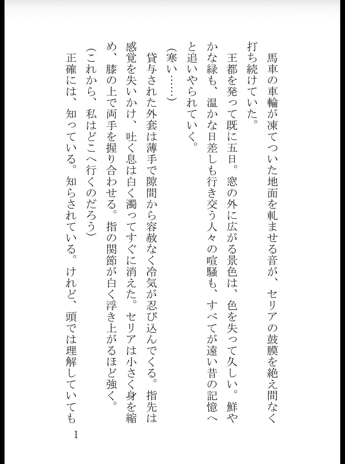 身代わりに買われた虐げられ令嬢ですが、隻眼の冷血辺境伯に子宮の奥まで激しく穿たれ甘く啼かされています サンプル2
