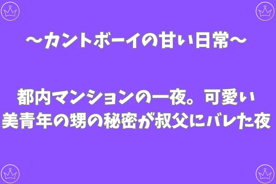 都内マンションの一夜。可愛い美青年の甥の秘密が叔父にバレた夜の表紙
