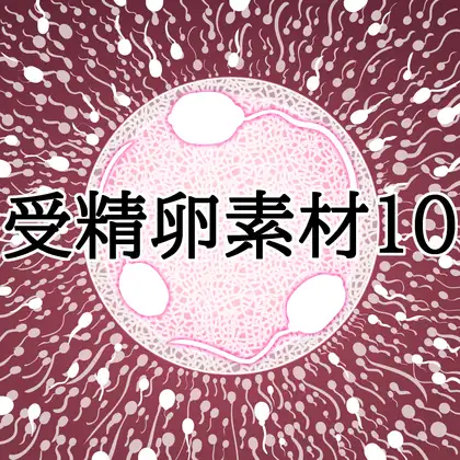 受精卵素材10 ジャケット画像