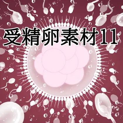 受精卵素材11 ジャケット画像