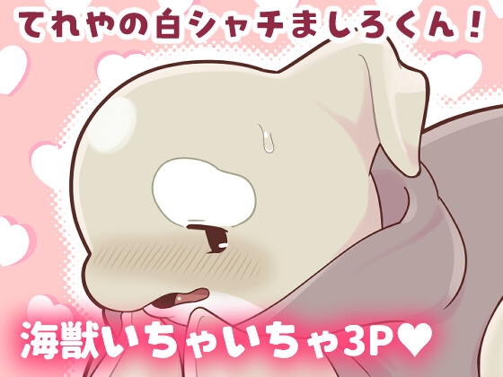 てれやの白シャチましろくん!