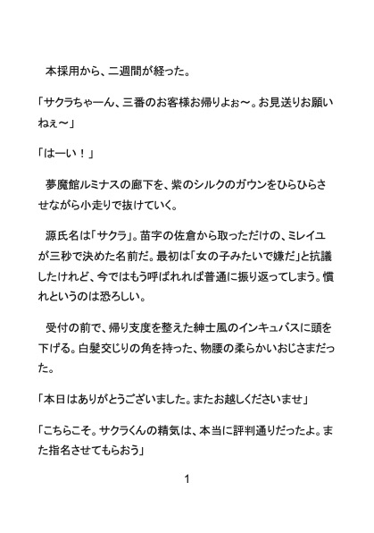『夢魔館ルミナス』後巻～専属指名でメスイキ独占契約！?嫉妬インキュバスに男の身体でも雌にされちゃうノンケカント娼夫～ [Your Horny World] | DLsiteがるまに 2