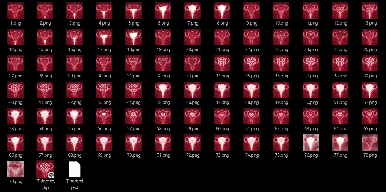 子宮素材 サンプル画像 5
