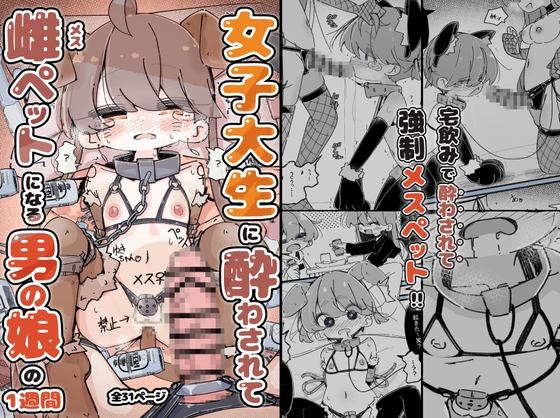 女子大生に酔わされて雌ペットになる男の娘の一週間