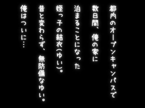 サンプル画像 2枚目