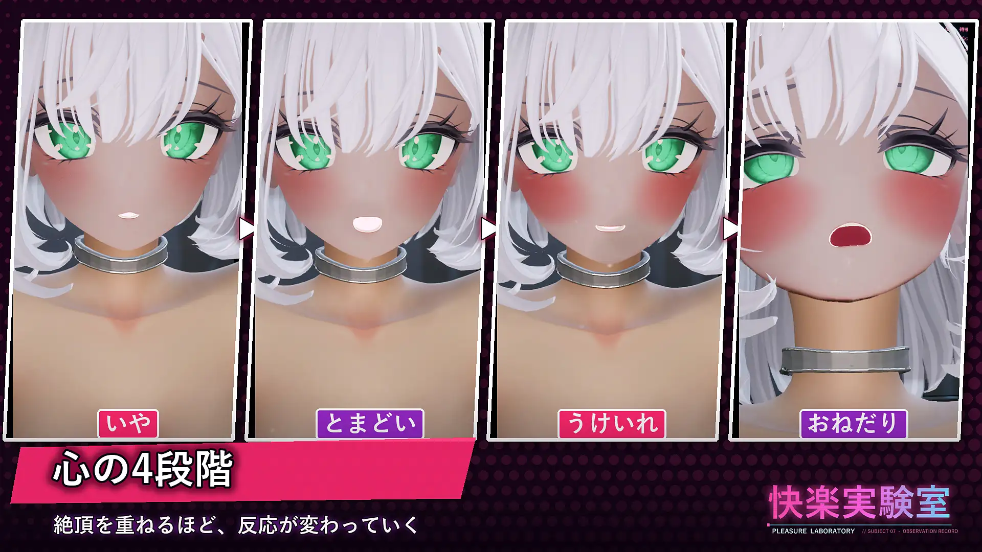 快楽実験室 サンプル画像8