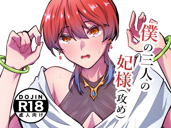僕の三人の妃(攻め)