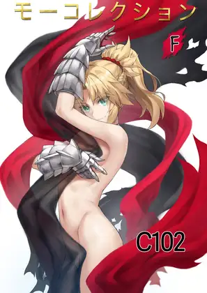 モーコレクションF ジャケット画像