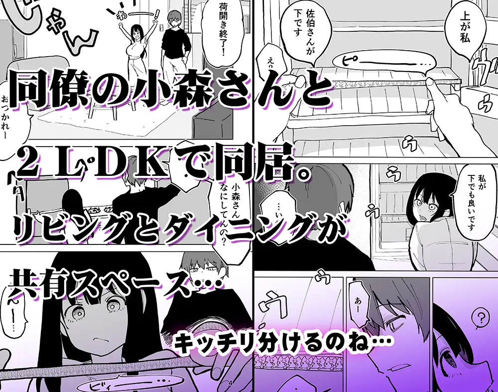 2LDKを半分にしただけ サンプル2