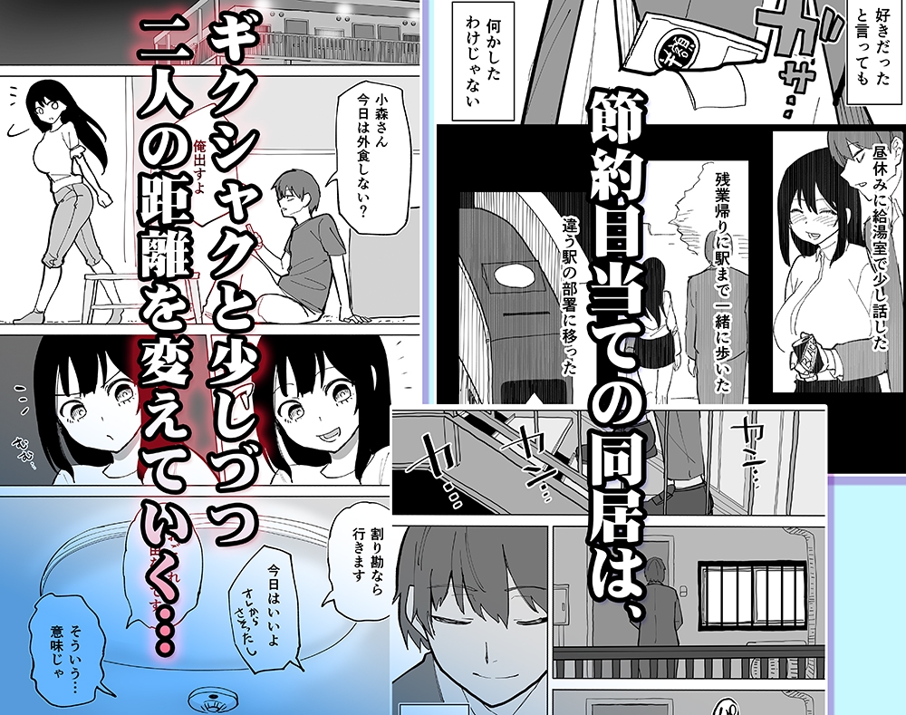 2LDKを半分にしただけ 画像3