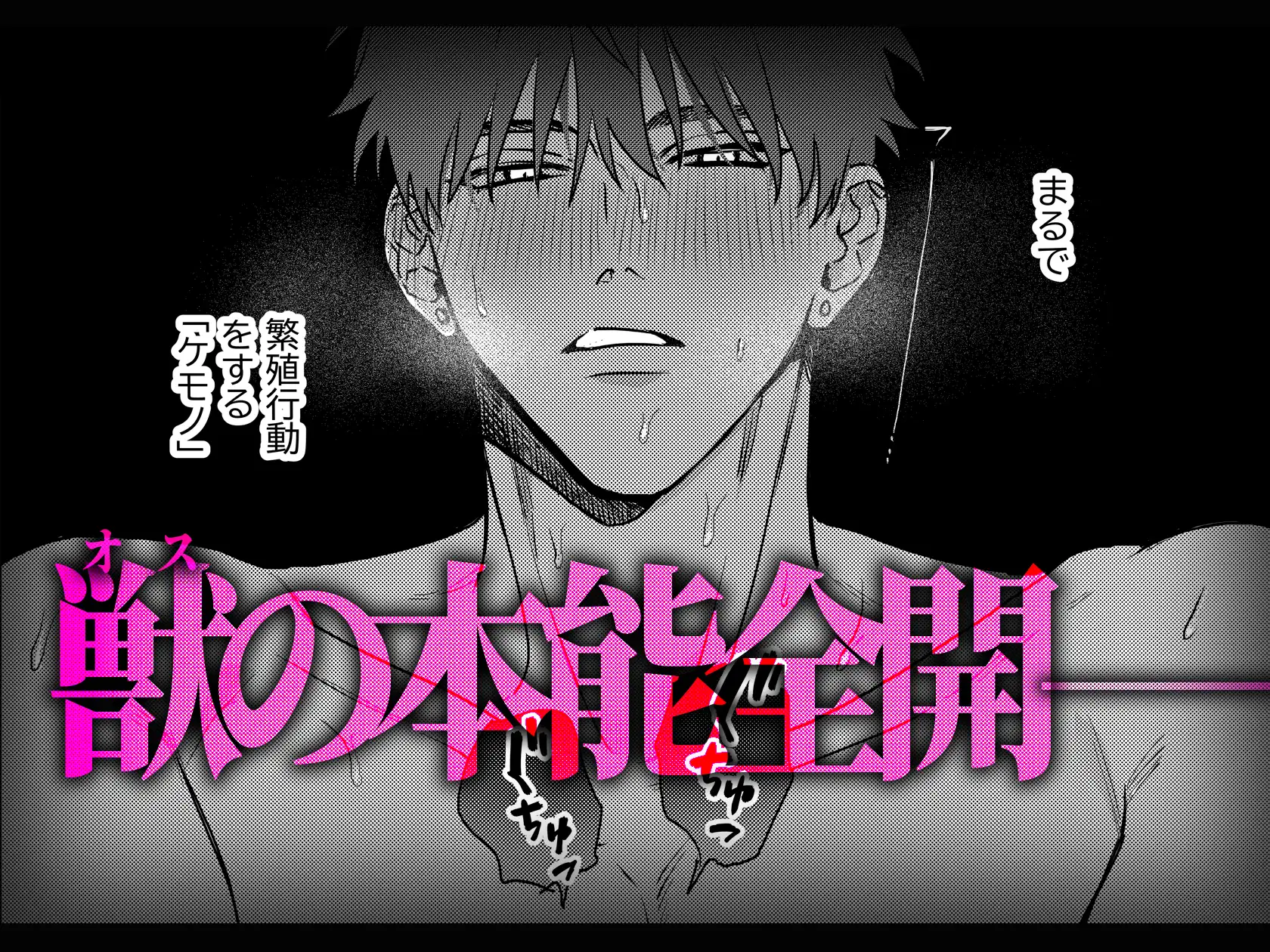 サンプル画像6
