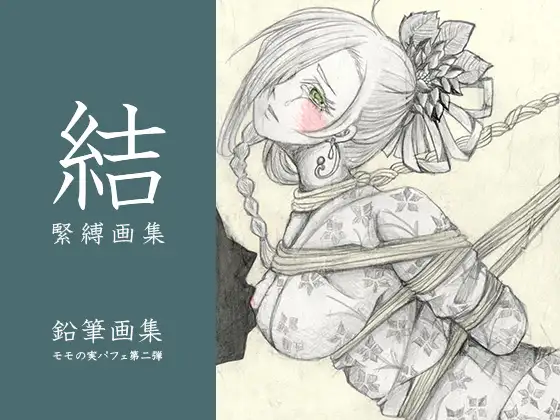 結 緊縛画集 ジャケット画像