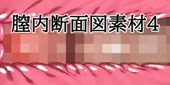 膣内断面図素材4 ジャケット画像