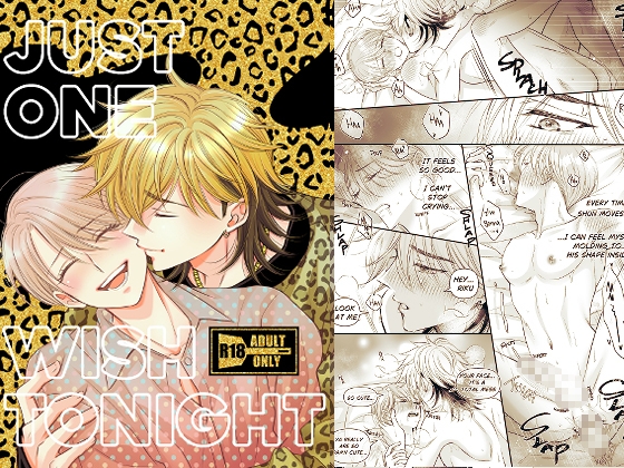 JUST ONE WISH TONIGHT