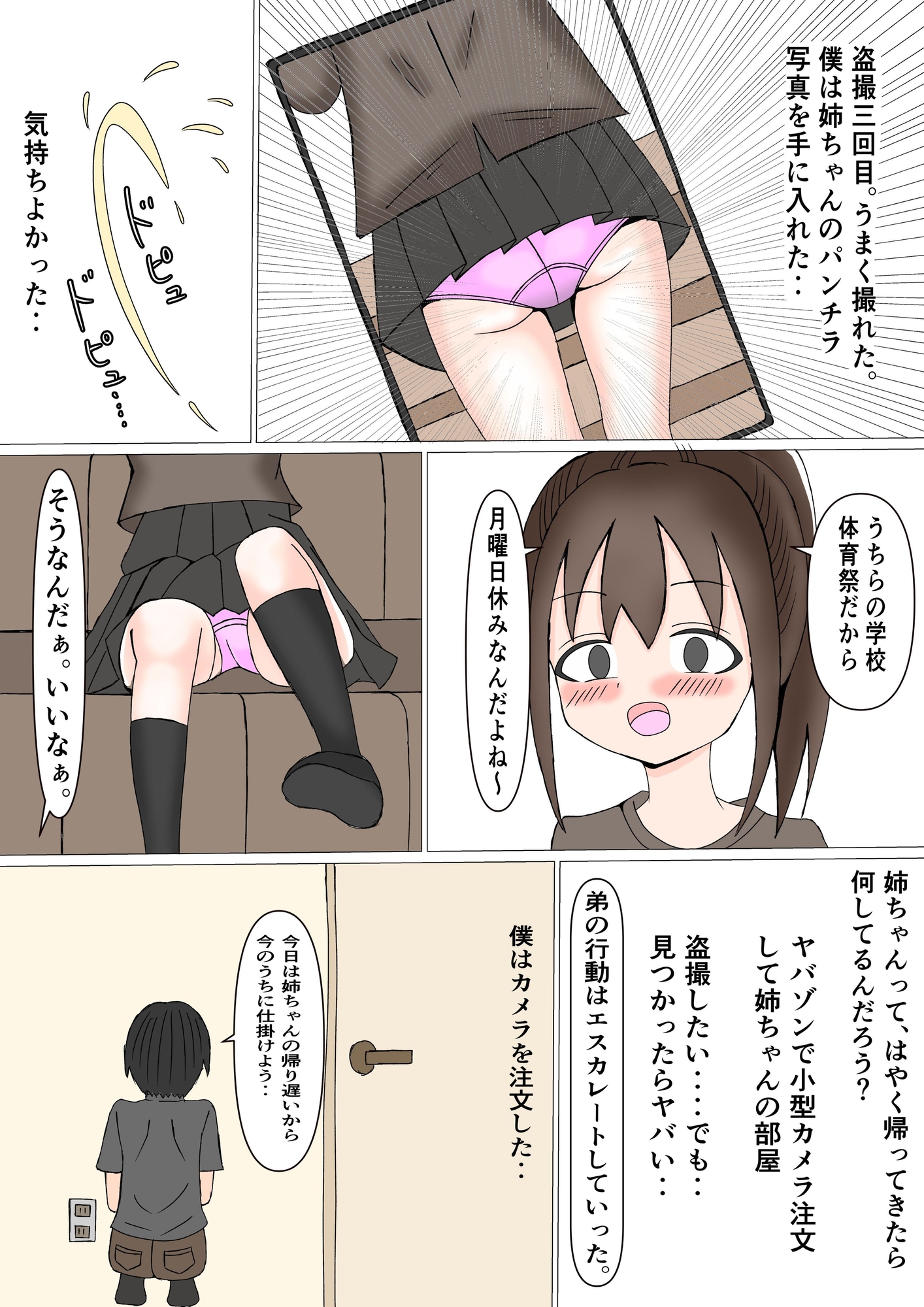 僕は姉のストーカー ～みんなに人気のお姉ちゃんを家庭内ストーカーする弟～