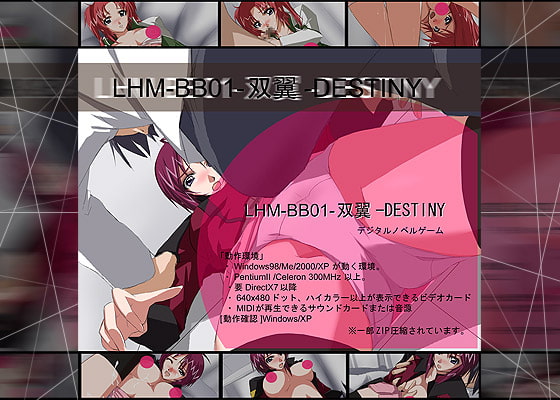 LHM-BB01-双翼-DESTINY