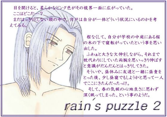rains puzzle 2
