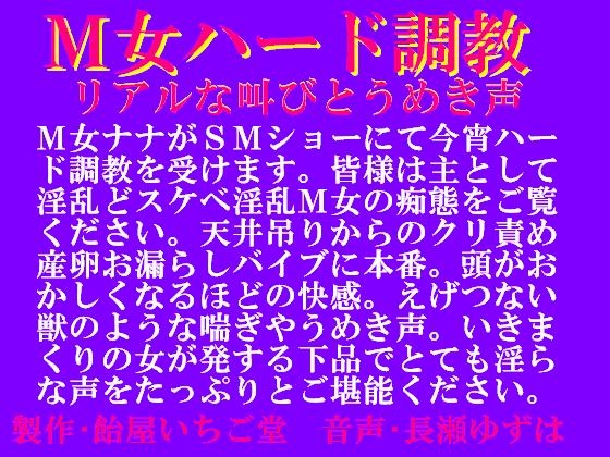 M女ハード調教・リアルな叫びとうめき声wav版