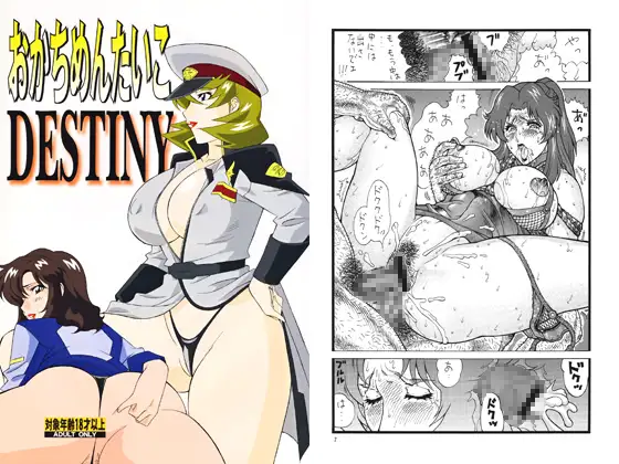 おかちめんたいこ DESTINY