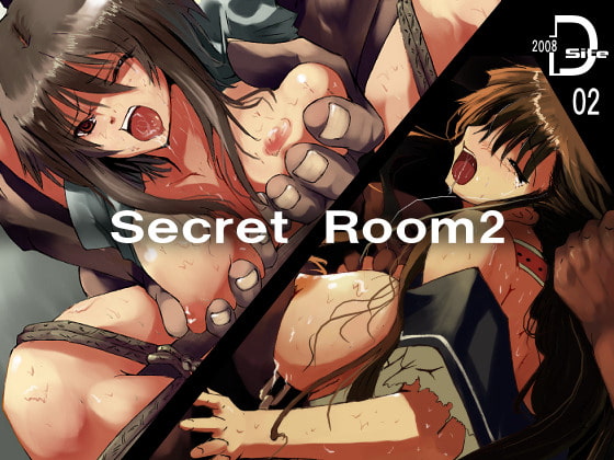 Secretroom2