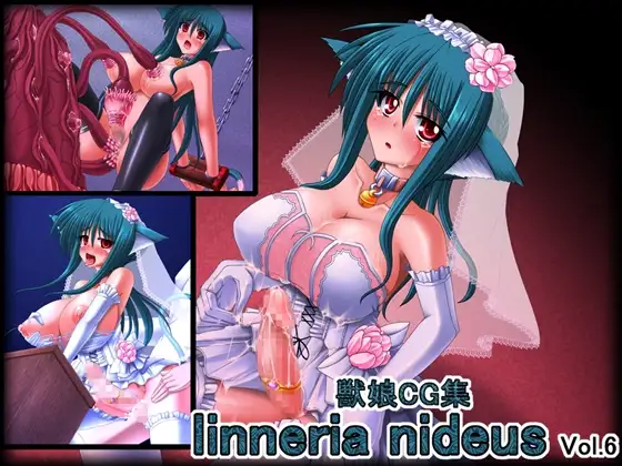 linneria nideus Vol.6