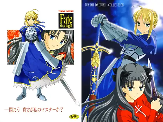 Fate -問おう、貴方が私のマスターか？