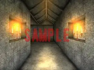 sub-image_0
