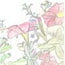 季節の花の水彩画集
