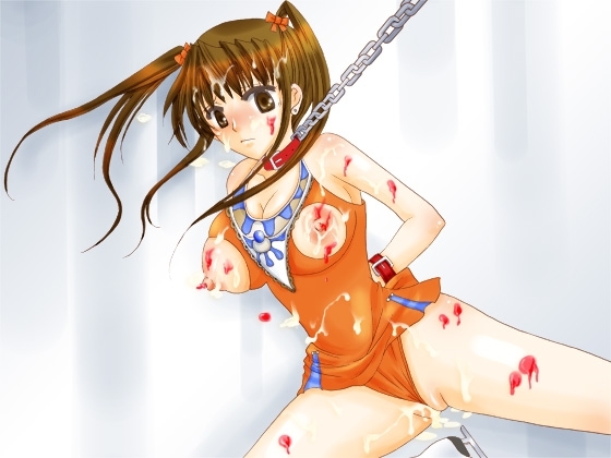 期間限定サービスプライスエロボイス3本セット!!あなたが主人公のエロボイス~妹はエッチな魔法少女☆フィギュアスケートの魔法少女を陵辱☆他・・