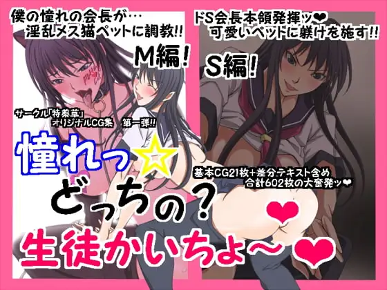 憧れっ☆ どっちの? 生徒かいちょ～