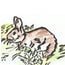 2011年ウサギの水彩画カレンダー