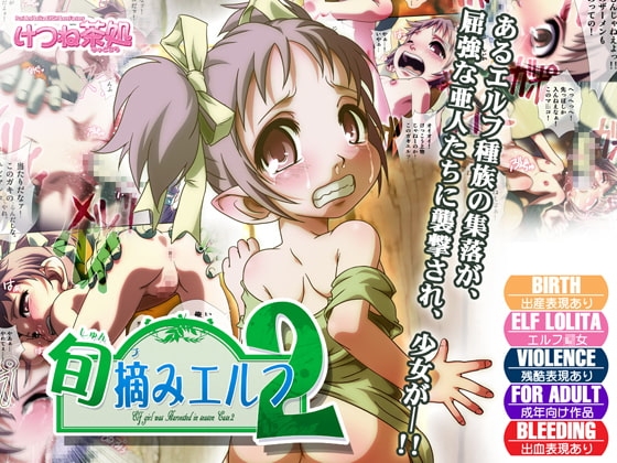 旬摘みエルフ 第2章