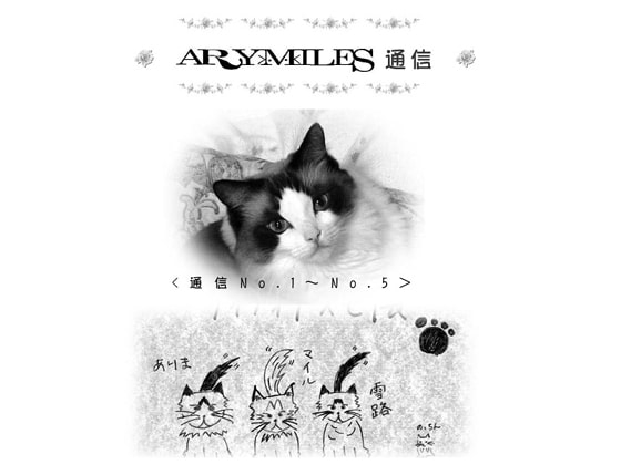 ARYMILES通信