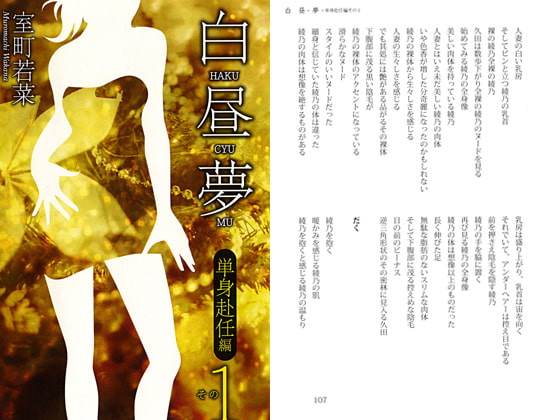 白昼夢 単身赴任編 その1
